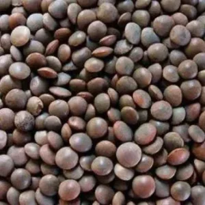 Sabit Masoor ( 1 Kg)